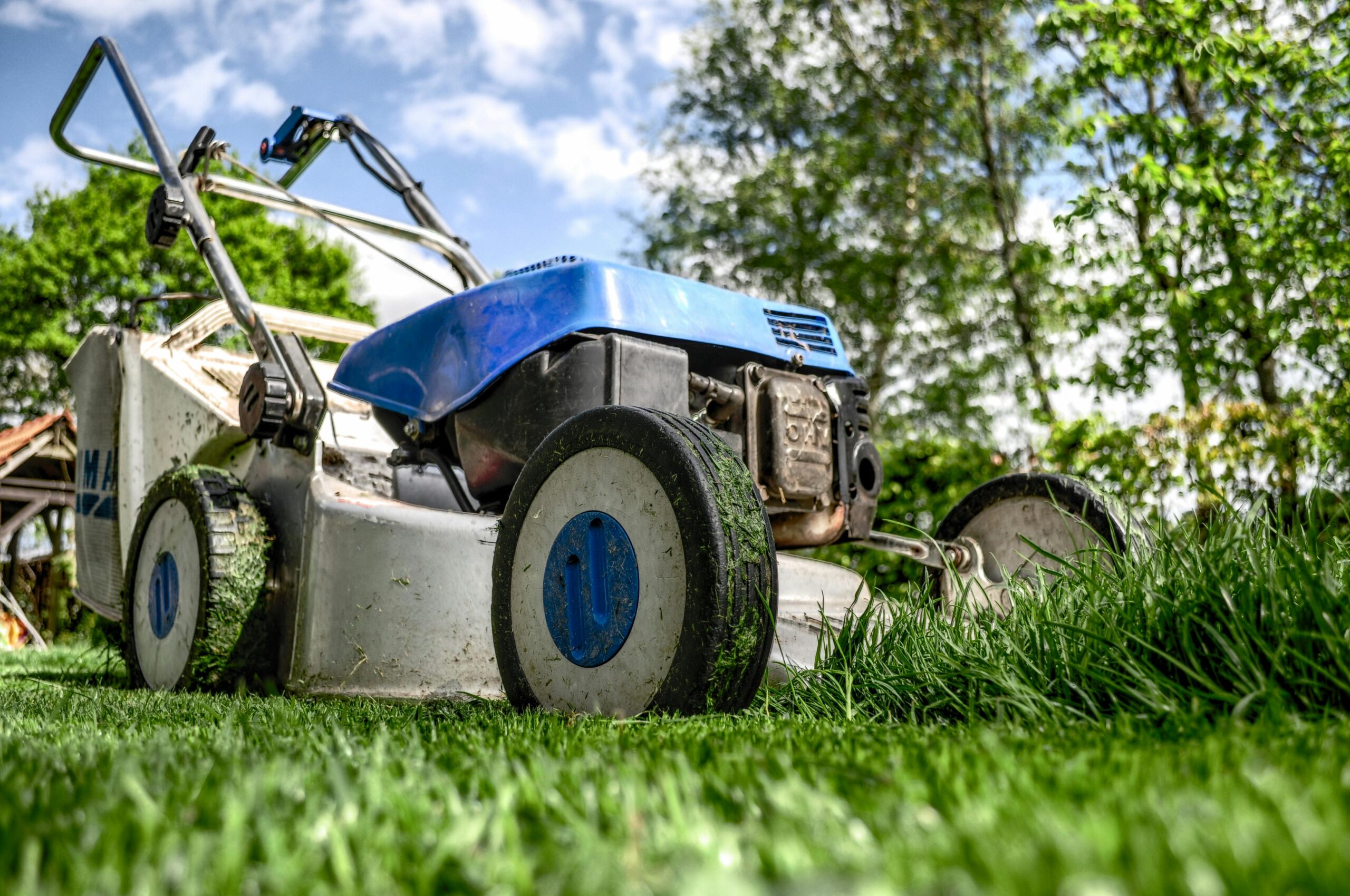 Kosiarka STIHL – niezawodny sprzęt do pielęgnacji trawnika